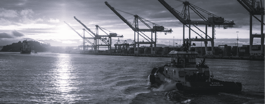 Deep-Sea Mining Under Pressure: What It Means for Marine and Energy Supply Chains